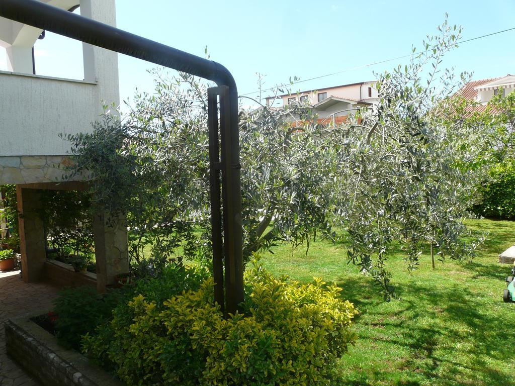 Apartments Mirela Poreč Exterior foto